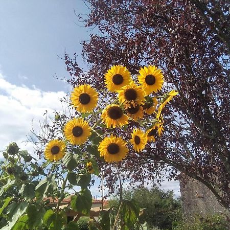 Les Tournesols Bed and Breakfast La Bernardiere Buitenkant foto
