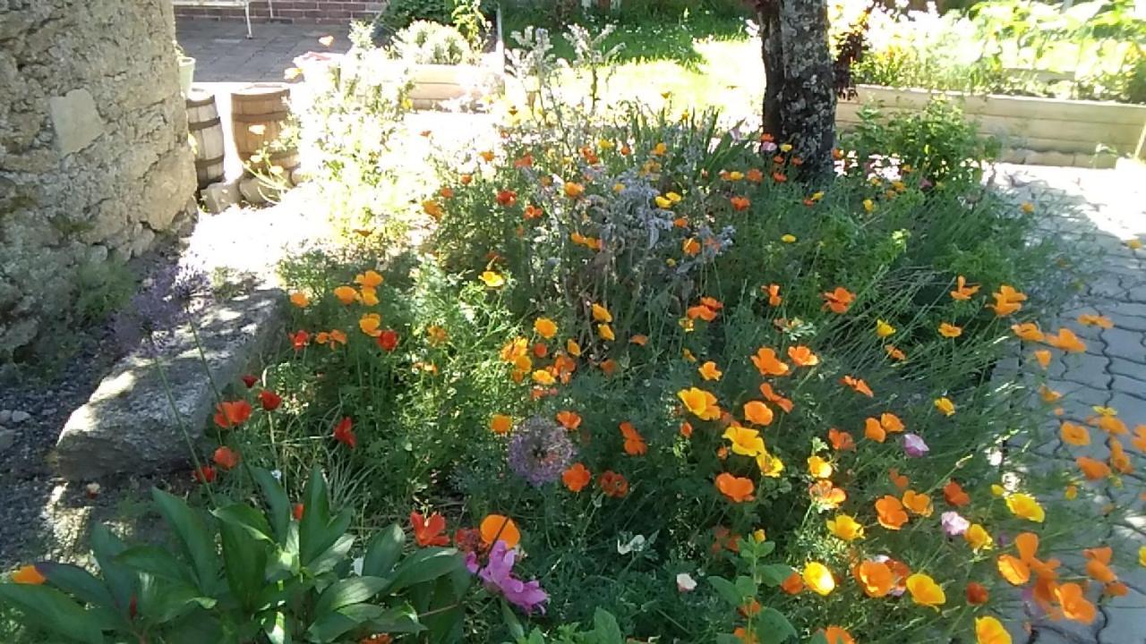Les Tournesols Bed and Breakfast La Bernardiere Buitenkant foto